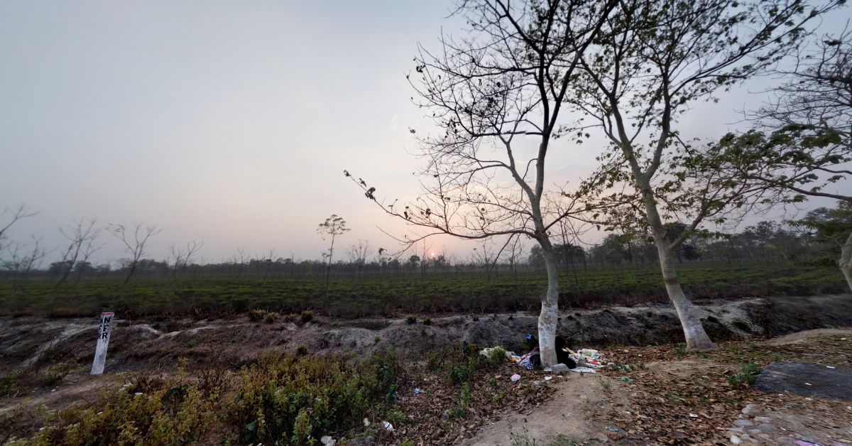 Dooars - Bhutan Rental and Travel Blog